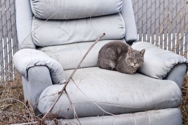 Recliner Disposal in Eau Claire